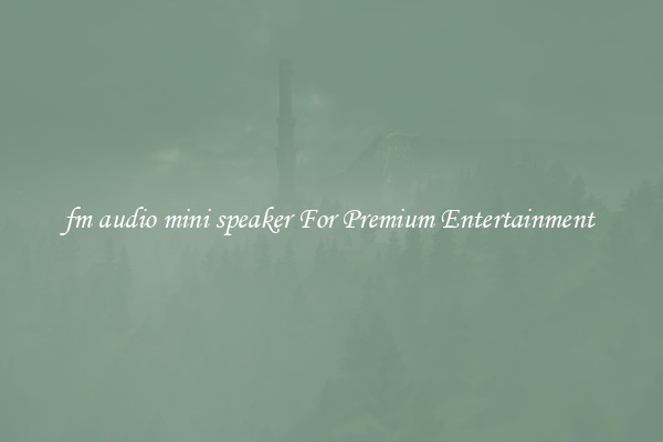 fm audio mini speaker For Premium Entertainment 