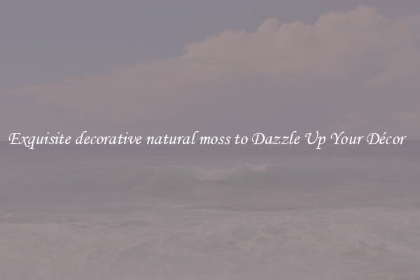 Exquisite decorative natural moss to Dazzle Up Your Décor  