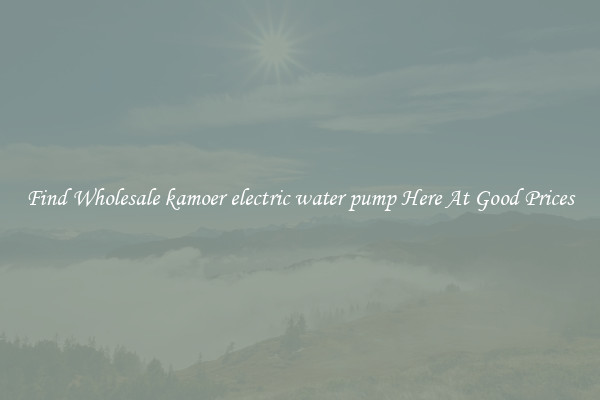 Find Wholesale kamoer electric water pump Here At Good Prices