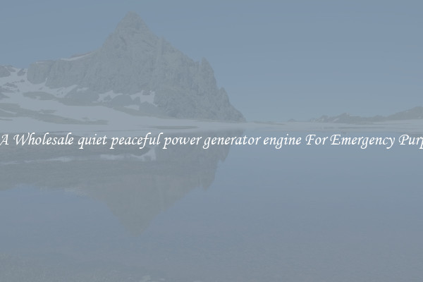 Get A Wholesale quiet peaceful power generator engine For Emergency Purposes