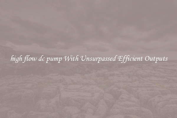 high flow dc pump With Unsurpassed Efficient Outputs