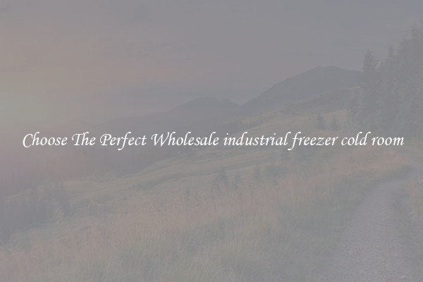 Choose The Perfect Wholesale industrial freezer cold room