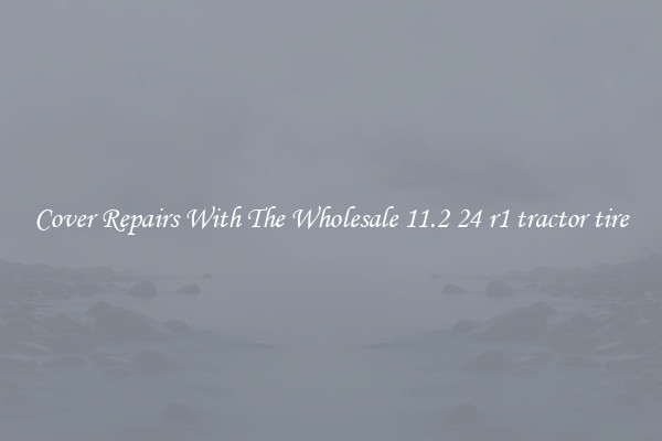  Cover Repairs With The Wholesale 11.2 24 r1 tractor tire 