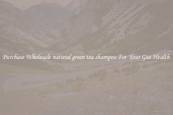 Purchase Wholesale natural green tea shampoo For Your Gut Health 