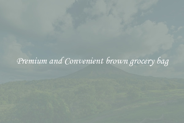 Premium and Convenient brown grocery bag
