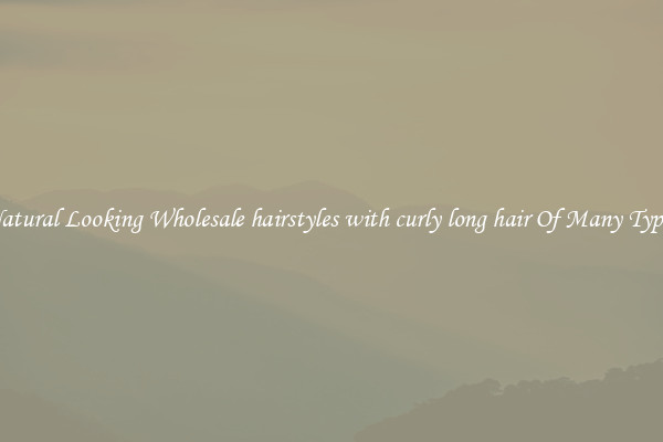 Natural Looking Wholesale hairstyles with curly long hair Of Many Types