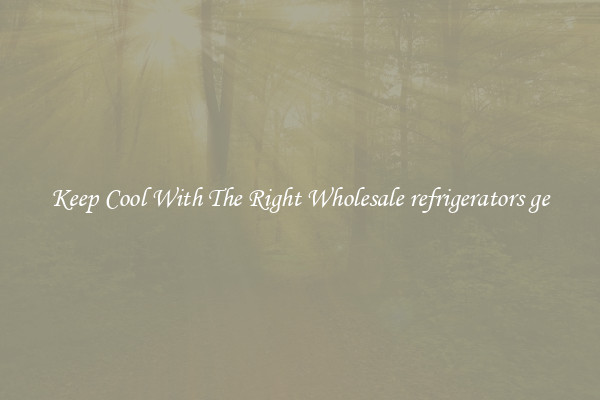Keep Cool With The Right Wholesale refrigerators ge