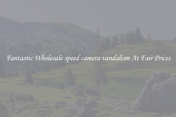 Fantastic Wholesale speed camera vandalism At Fair Prices