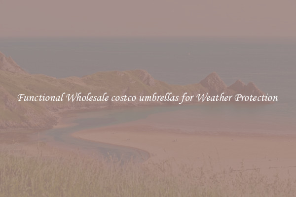 Functional Wholesale costco umbrellas for Weather Protection 