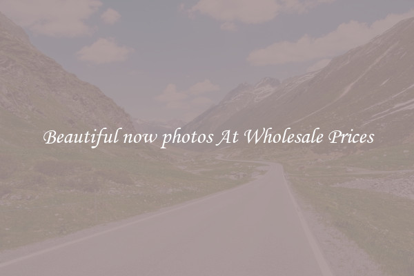 Beautiful now photos At Wholesale Prices