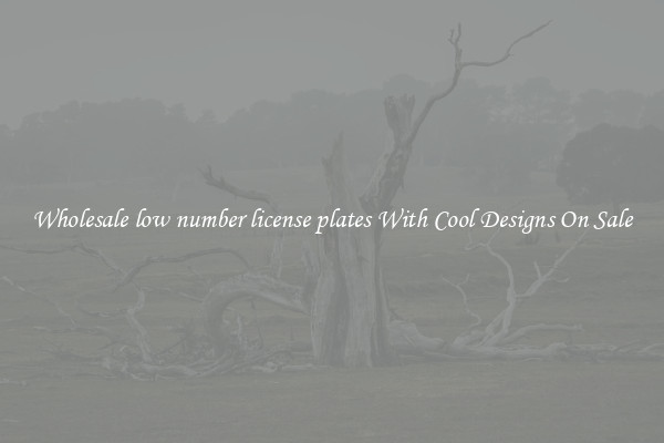 Wholesale low number license plates With Cool Designs On Sale