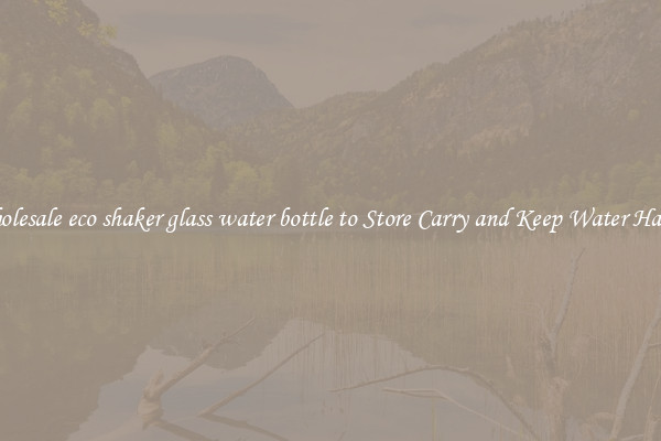 Wholesale eco shaker glass water bottle to Store Carry and Keep Water Handy
