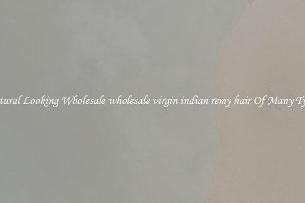 Natural Looking Wholesale wholesale virgin indian remy hair Of Many Types