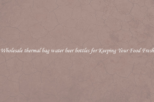 Wholesale thermal bag water beer bottles for Keeping Your Food Fresh