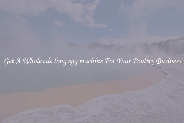 Get A Wholesale long egg machine For Your Poultry Business